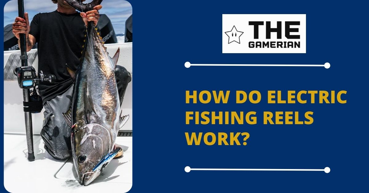 How Do Electric Fishing Reels Work - thegamerian gaming blog