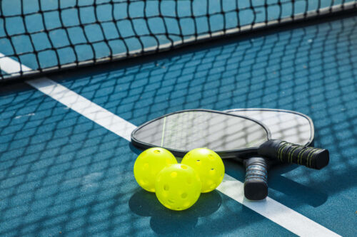pickleball equipment cara main pickleball - how to play pickleball - thegamerian.com